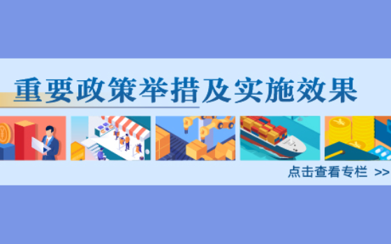 重要政策舉措及實施效果